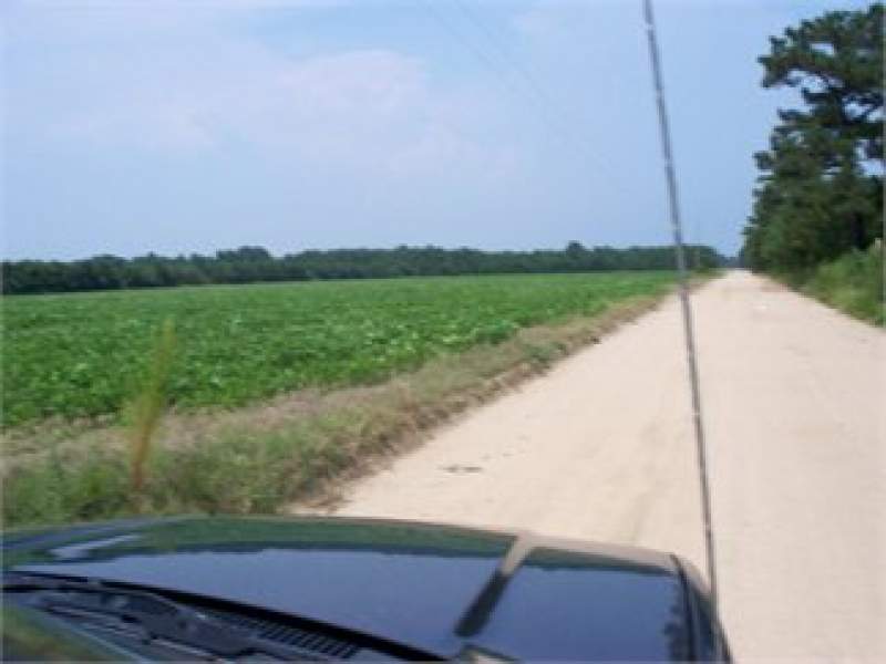 Bishopville, Lee County, South Carolina Land For Sale - 16 Acres Image
