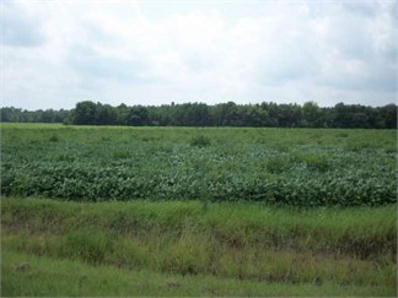 Bishopville, Lee County, South Carolina Land For Sale - 2.2 Acres Image