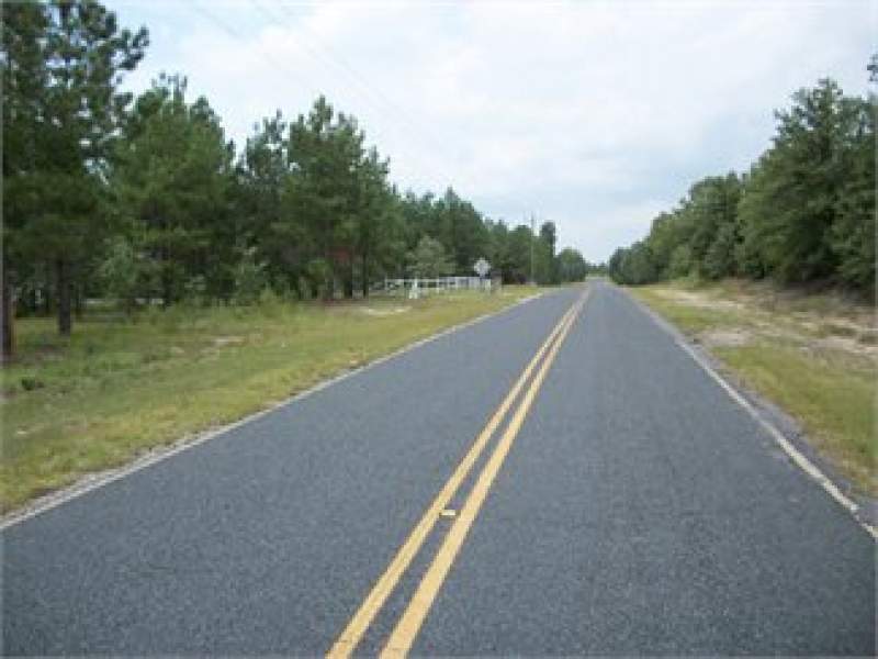 Bishopville, Lee County, South Carolina Land For Sale - 4.2 Acres Image