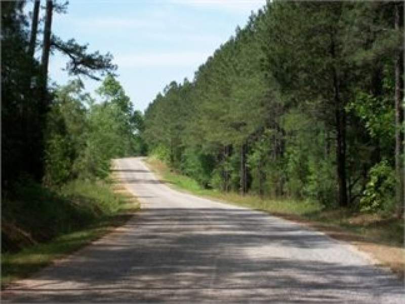 Bradley, Greenwood County, South Carolina Land For Sale - 10 Acres Image