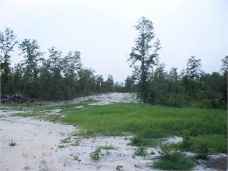Camden, Kershaw County, South Carolina Land For Sale - 2 Acres Image