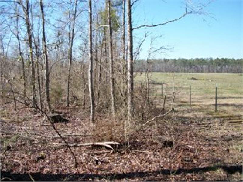 Saluda County, South Carolina Land For Sale - 152 Acres Image