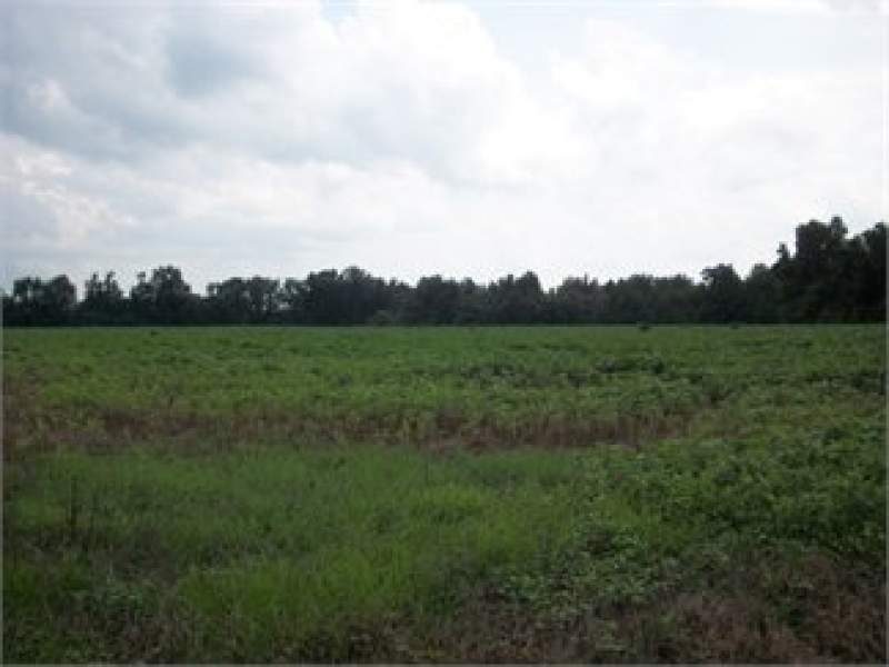 South Carolina Land For Sale - 13 Acres Image
