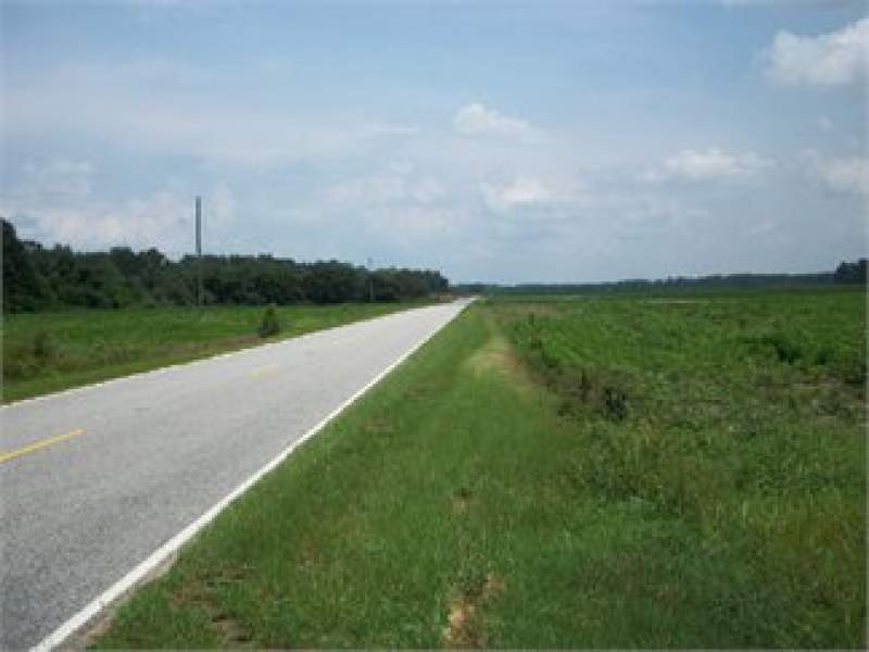 South Carolina Land For Sale - 5 Acres Image
