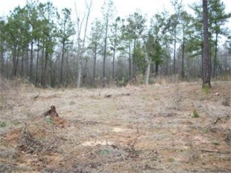 Sumter County, South Carolina Land For Sale - 25 Acres Image